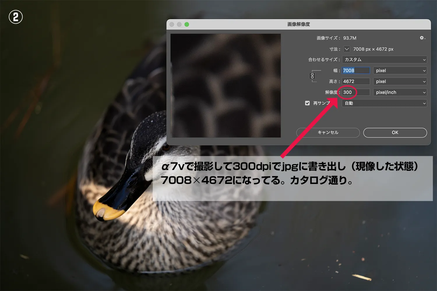 解像度と画像サイズの説明②
