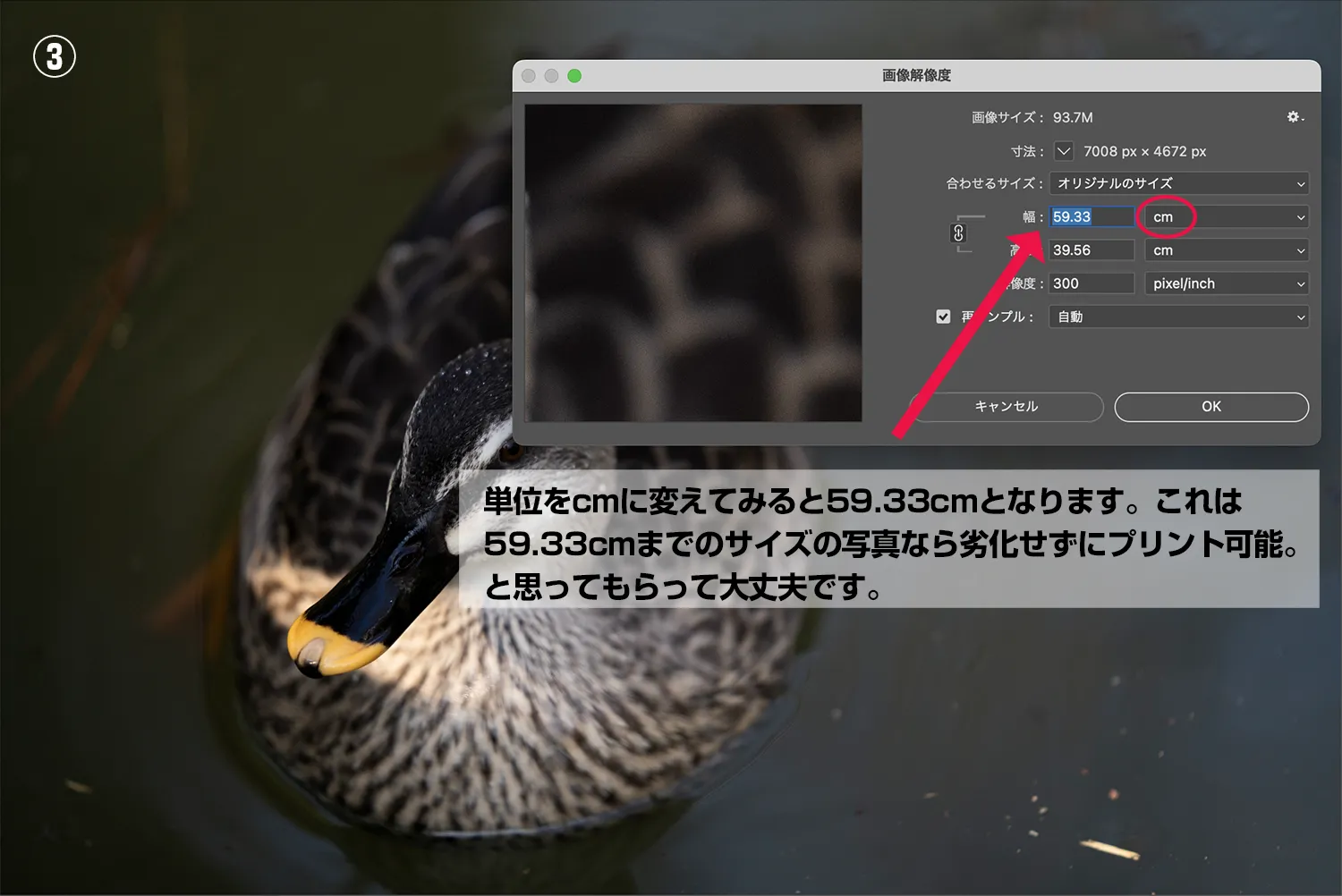 解像度と画像サイズの説明③
