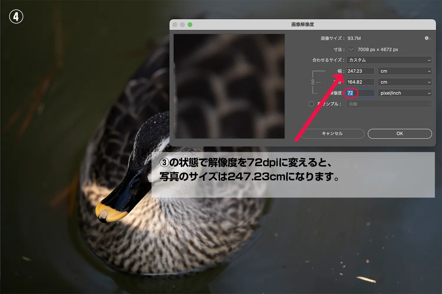 解像度と画像サイズの説明④