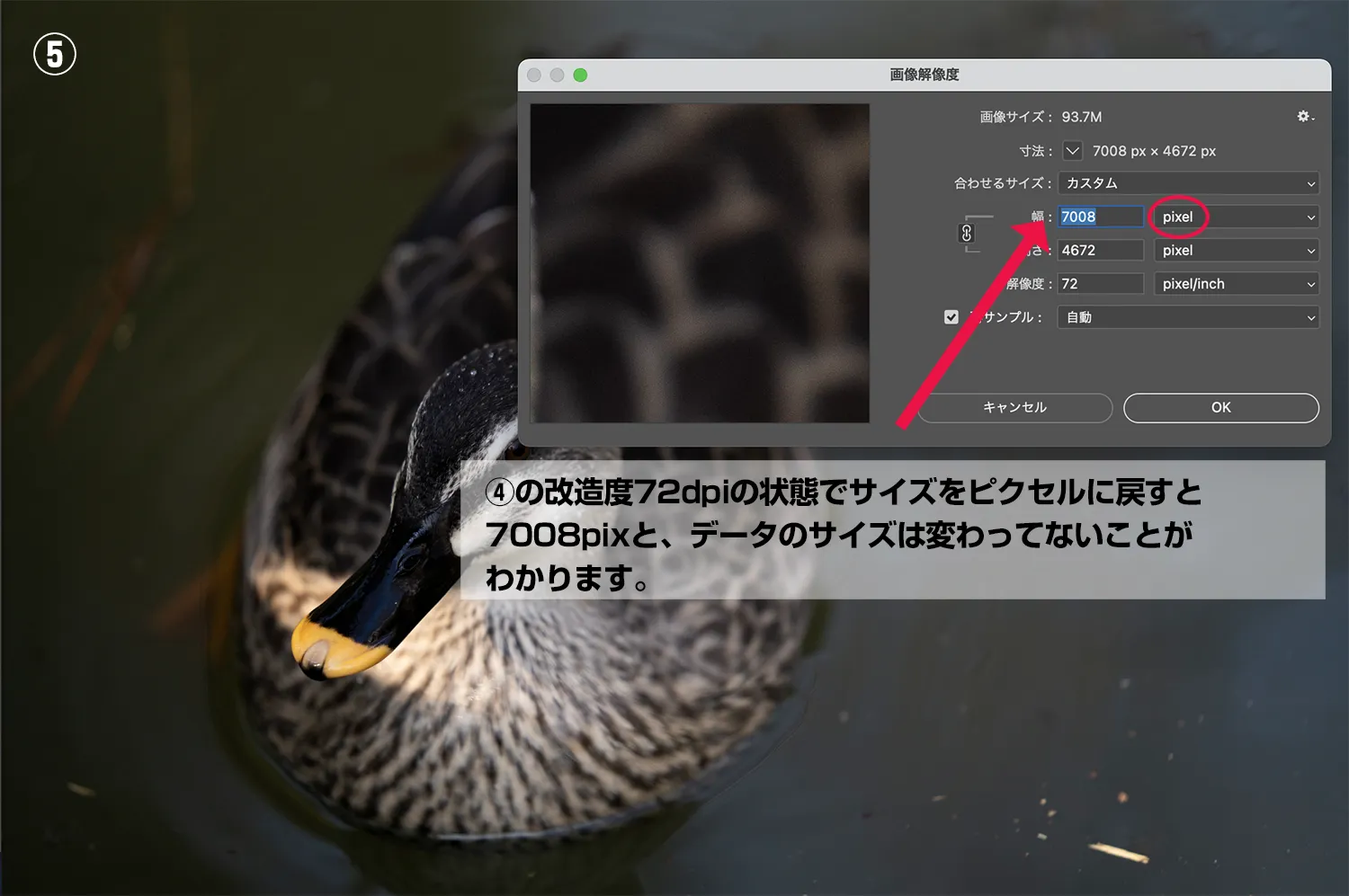 解像度と画像サイズの説明⑤