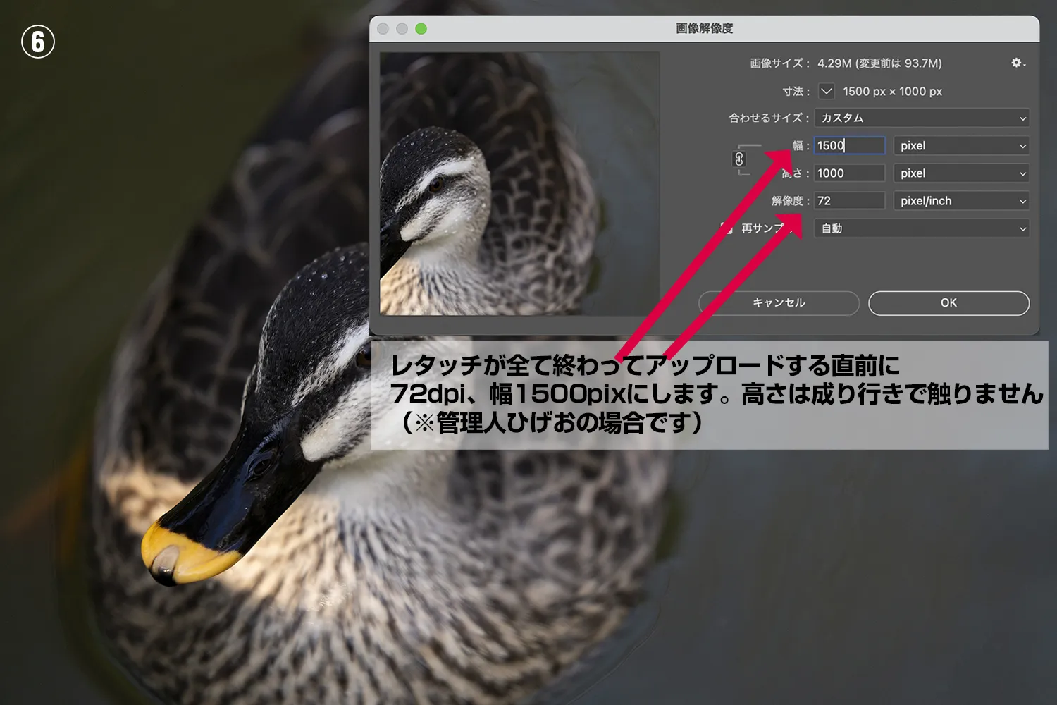 解像度と画像サイズの説明⑥