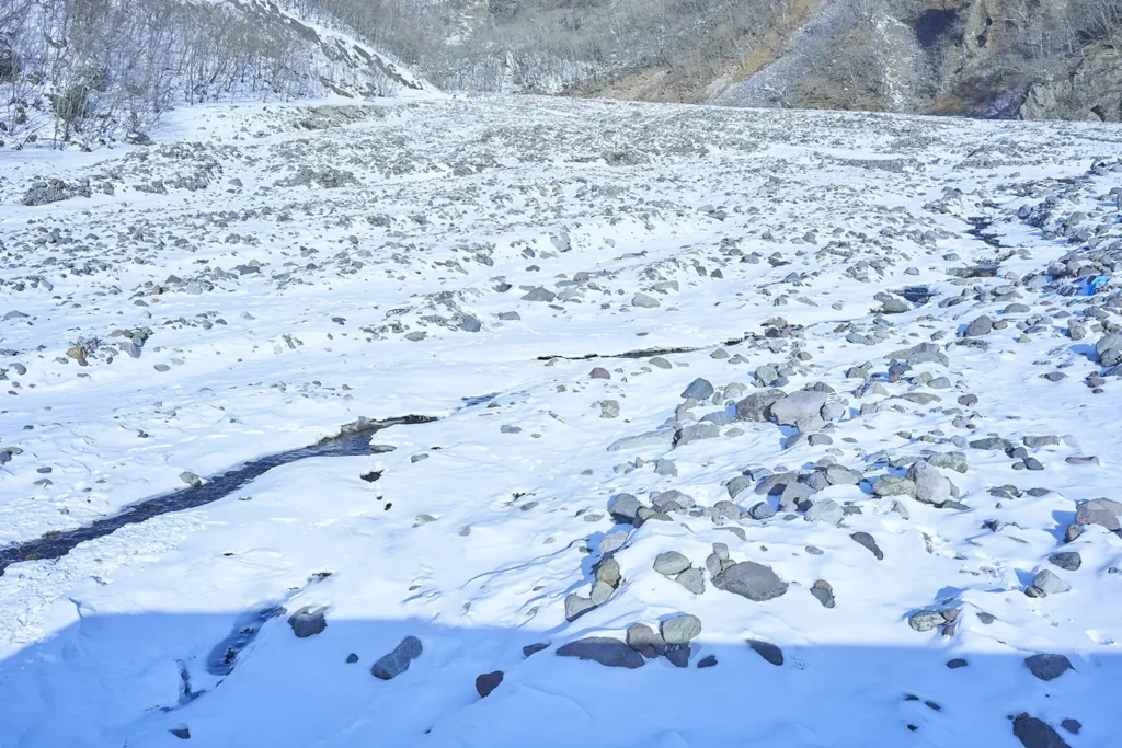 スポット修復ブラシツール 作例